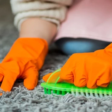 carpet cleaning service