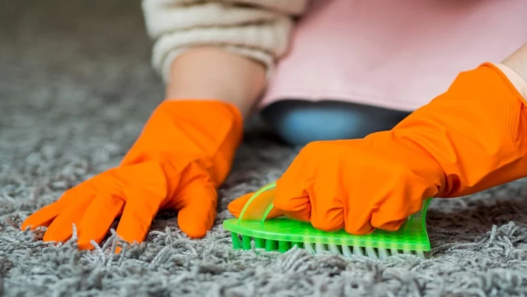 carpet cleaning service