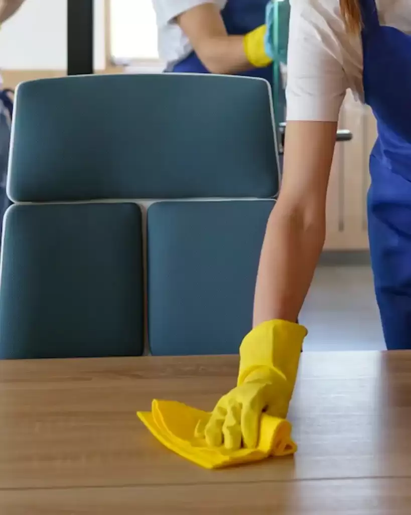 Regular house cleaning